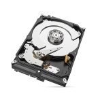 Seagate SkyHawk