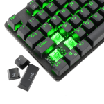 T-TGK313